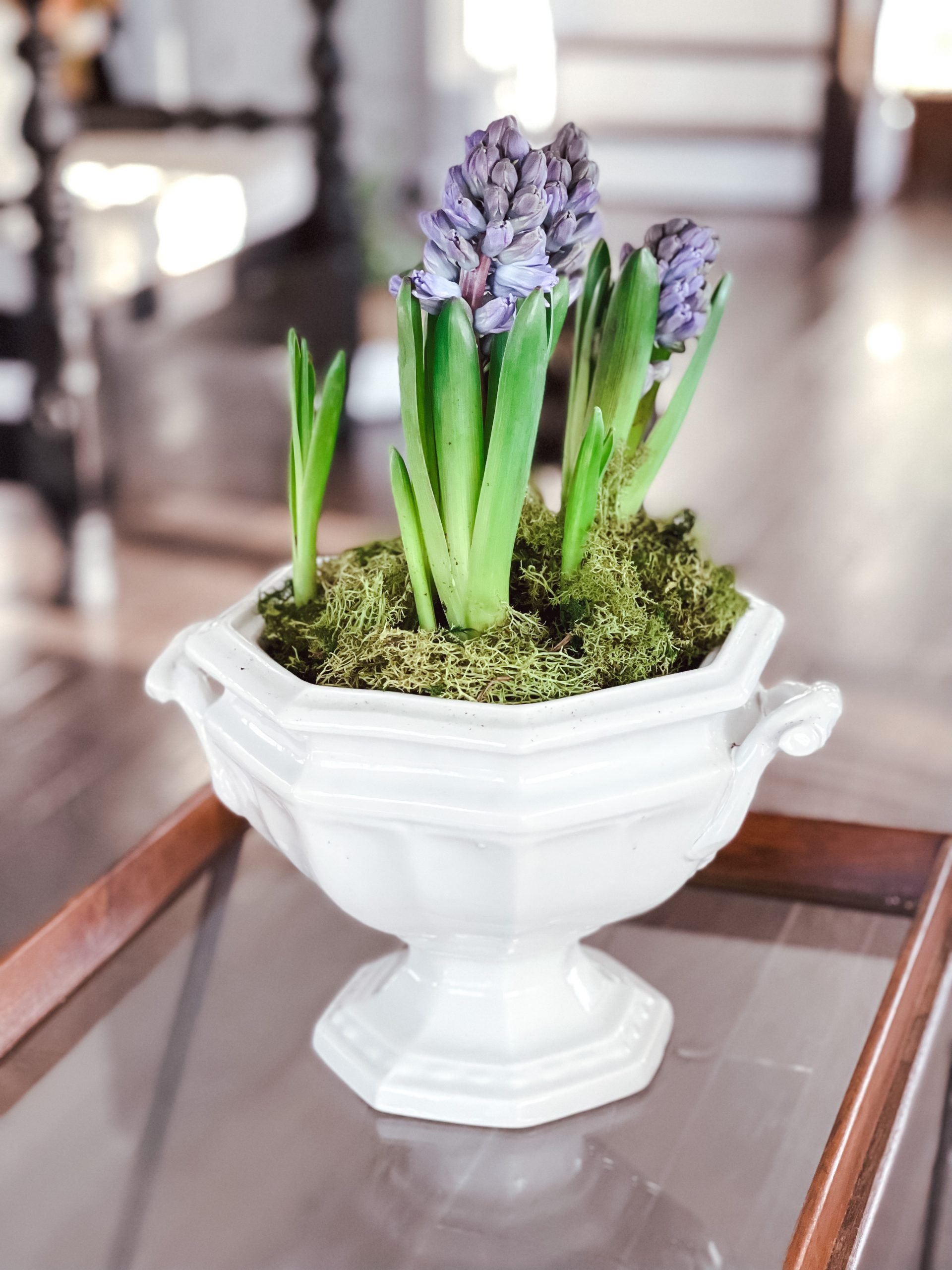 Decorating with flowers and plants. A vintage tureen with purple hyacinths.