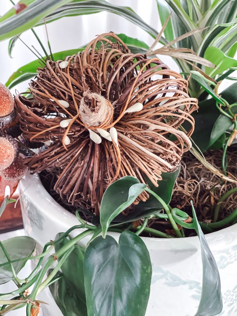 Add textured pumpkin picks to real plants for fall.