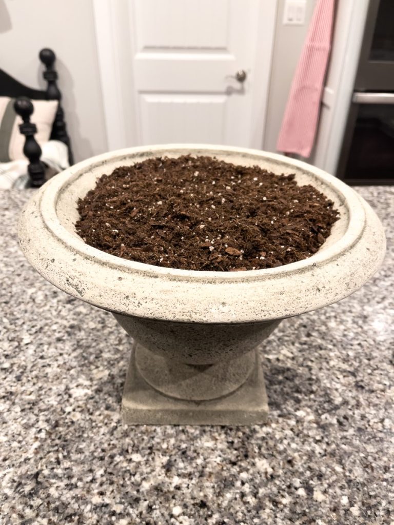 Concrete urn filled with a good potting soil.